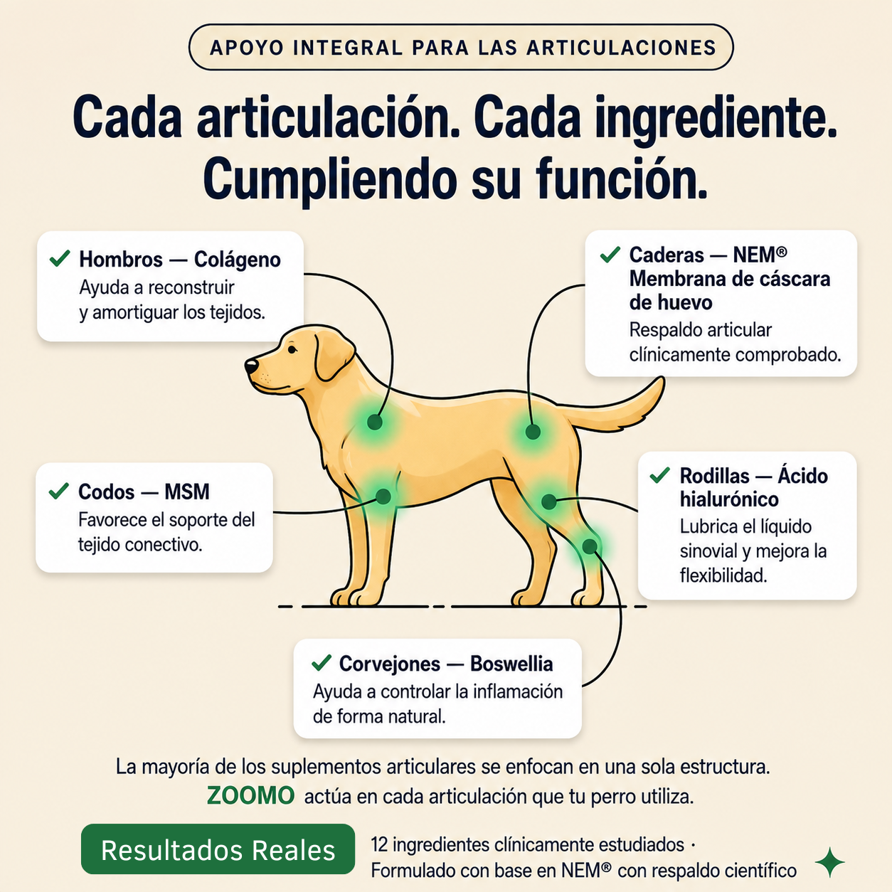 2X1 SNACK ZOOMO - COMBATE EL DOLOR ARTICULAR DE PERROS ADULTOS.